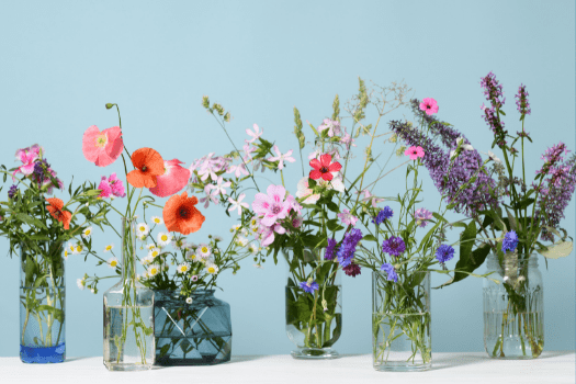 Row of vases with wild flowers