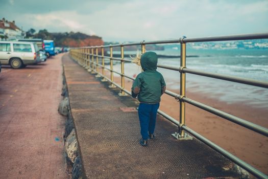 Little boy walking along beach 