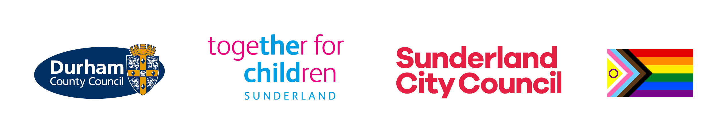 Durham County Council,  Together for Children Sunderland, Sunderland City Council and Progress Flag logos